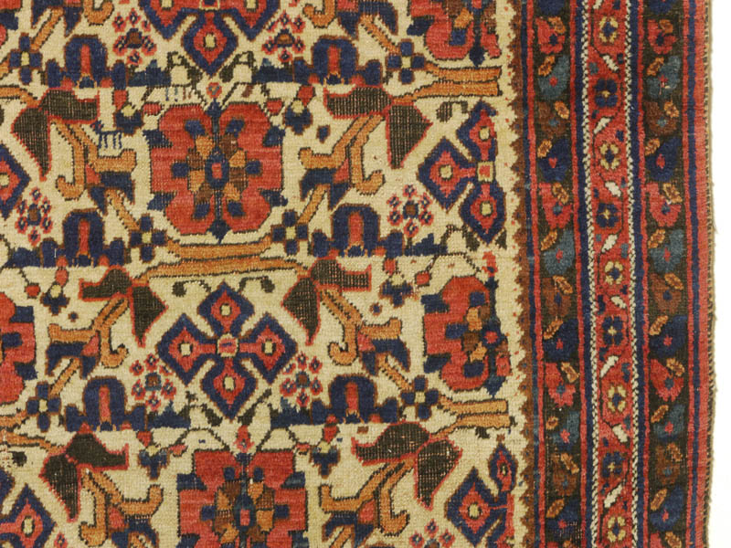 Neriz Afshar - right border + field