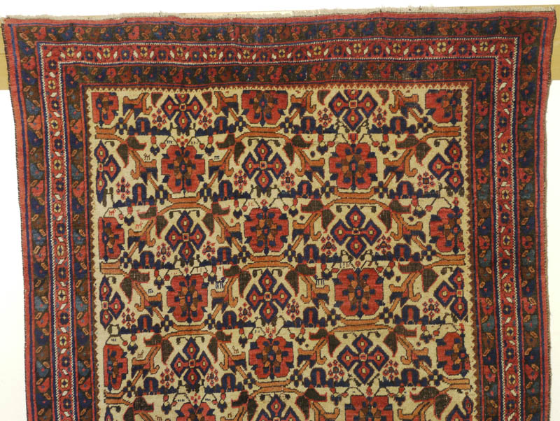 Neriz Afshar - top half
