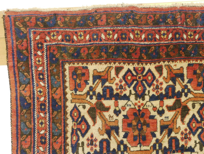 Neriz Afshar -  top left corner