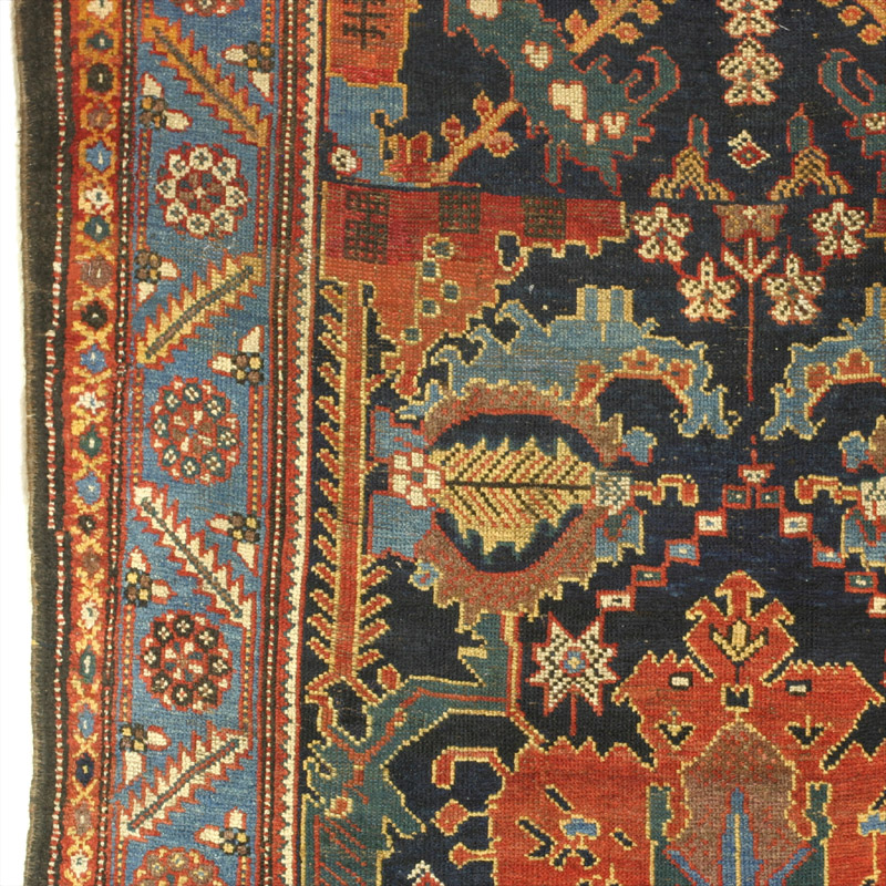 Palmette Bakhtiari -  border - field