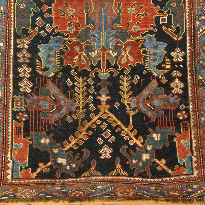 Palmette Bakhtiari - lower field