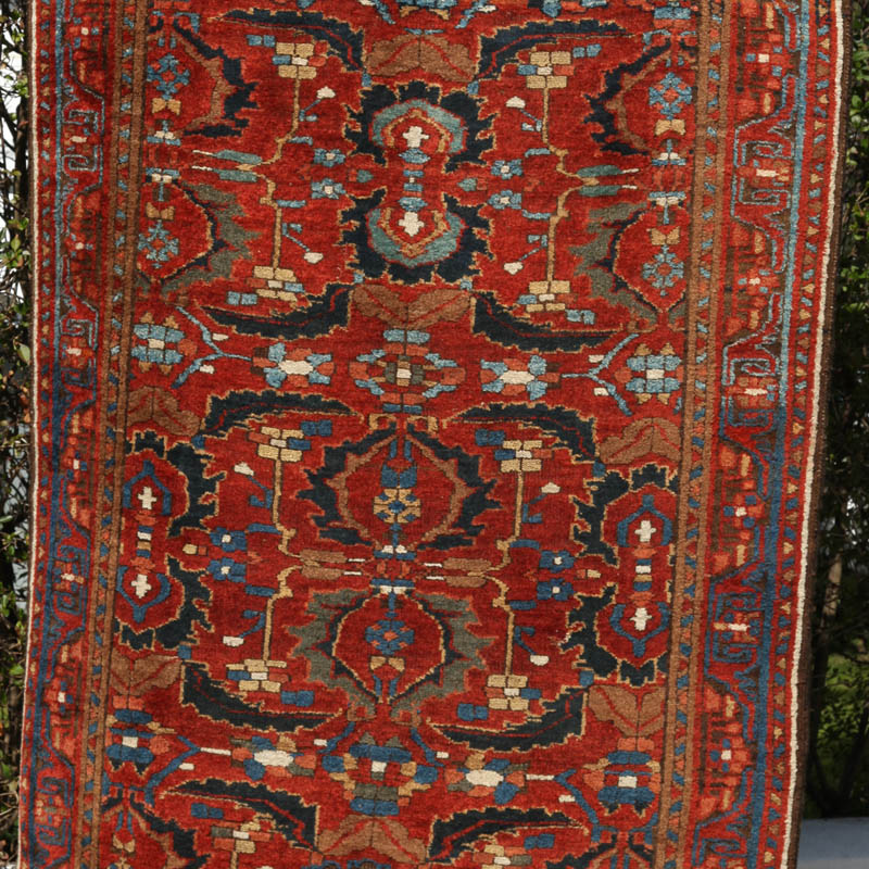 Palmette Bijar - central field