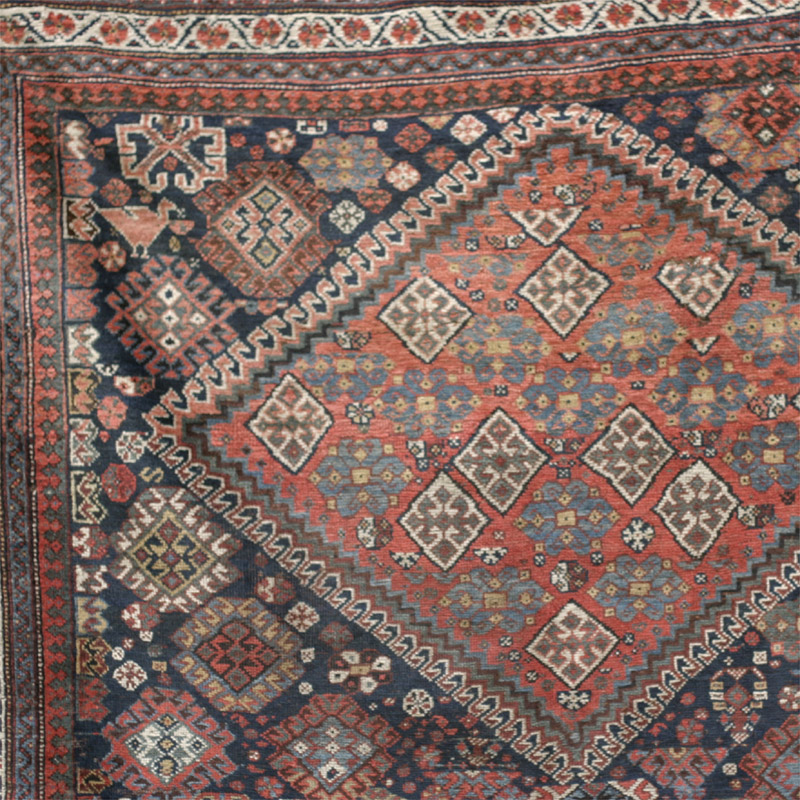 Shekarlu Qashqa'i - diamond 2 closer 