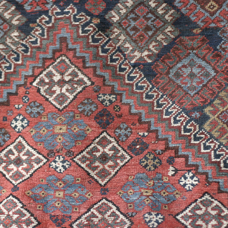 Shekarlu Qashqa'i - field 1