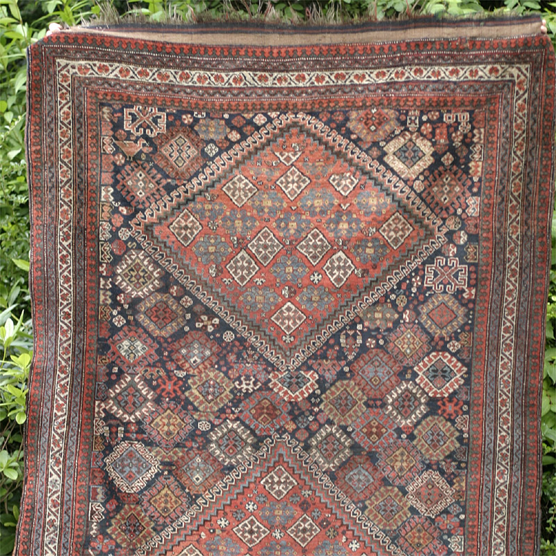 Shekarlu Qashqa'i - top half