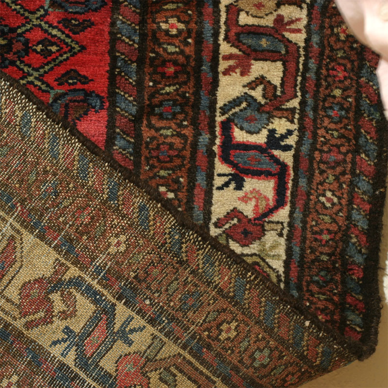 Qombad Hamadan - back side view