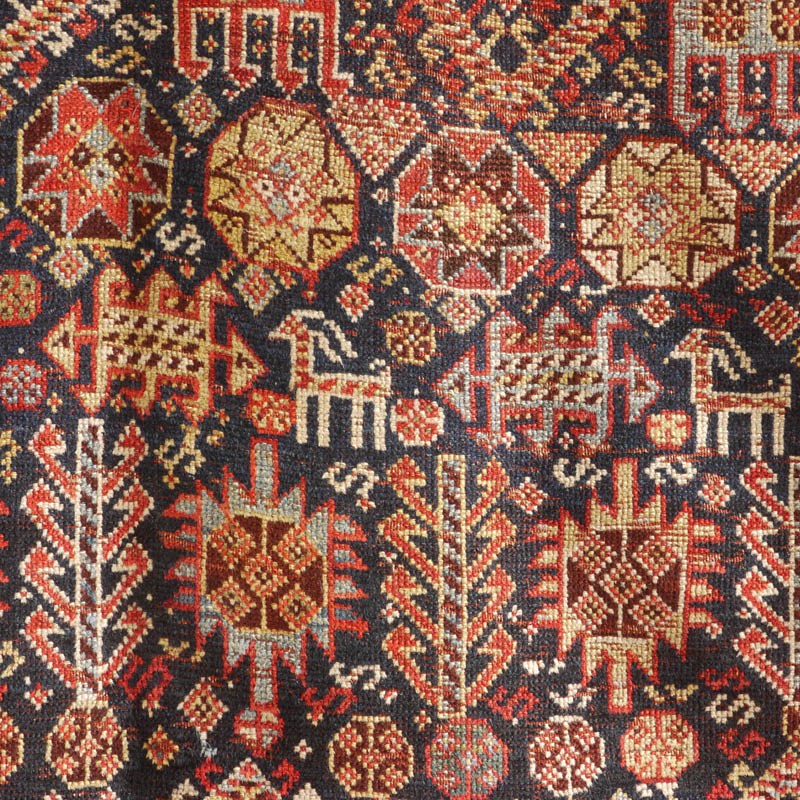 Qashqai Sherkarlu - field detail 1
