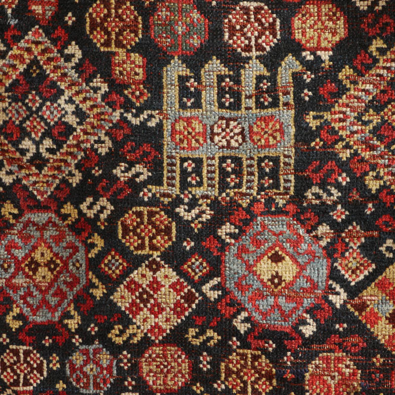Qashqai Sherkarlu - field detail 3
