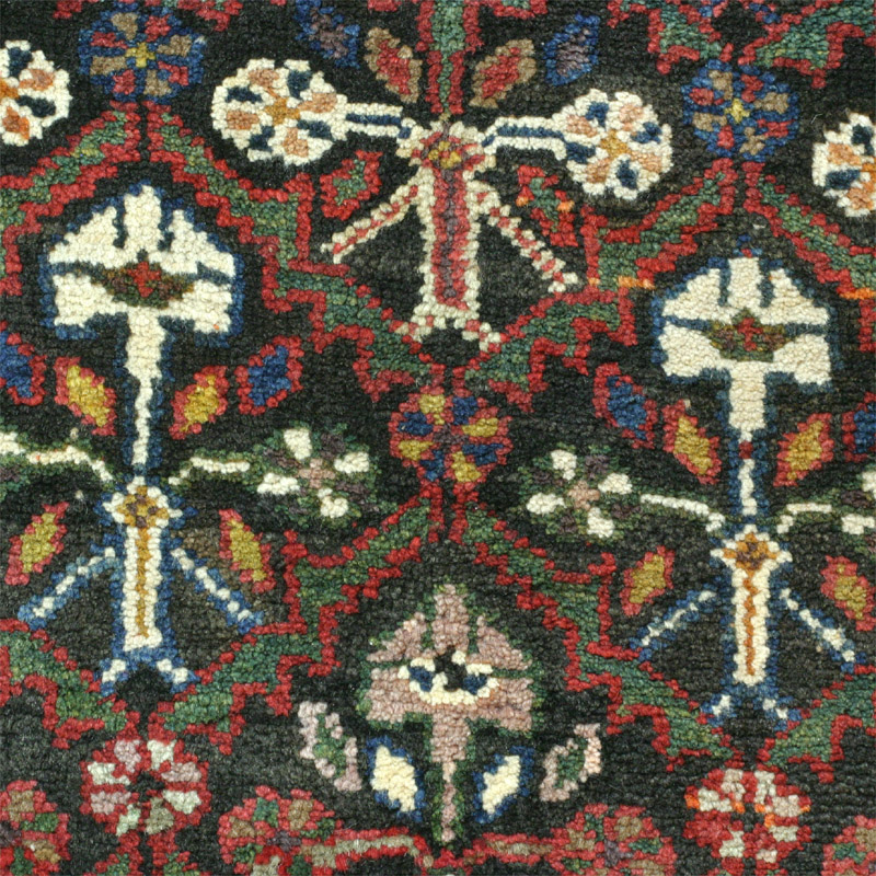 Shirishabad -  field detail 1