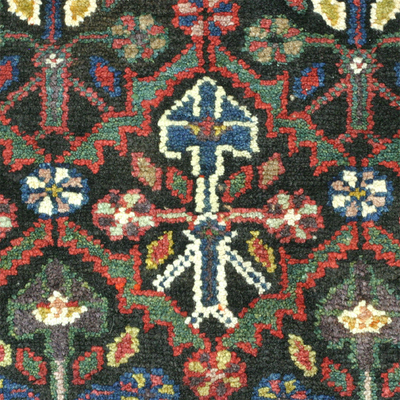 Shirishabad -  field detail 3
