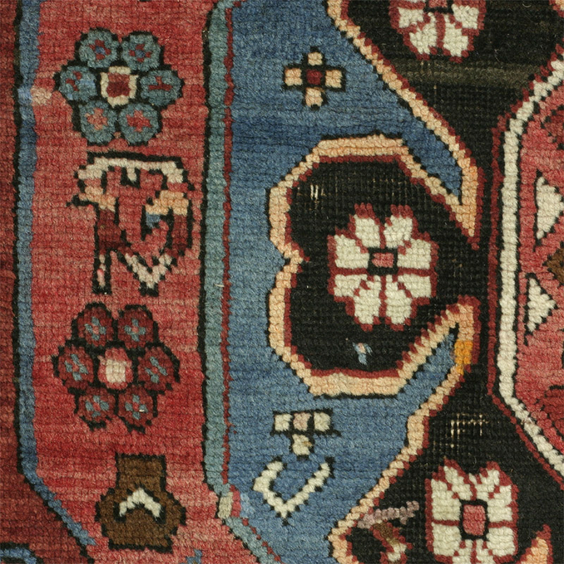 Shirvan honcha design - blossom edge