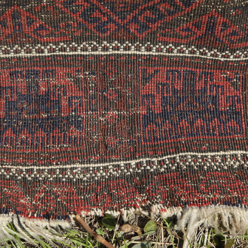 Timuri Baluch - back detail