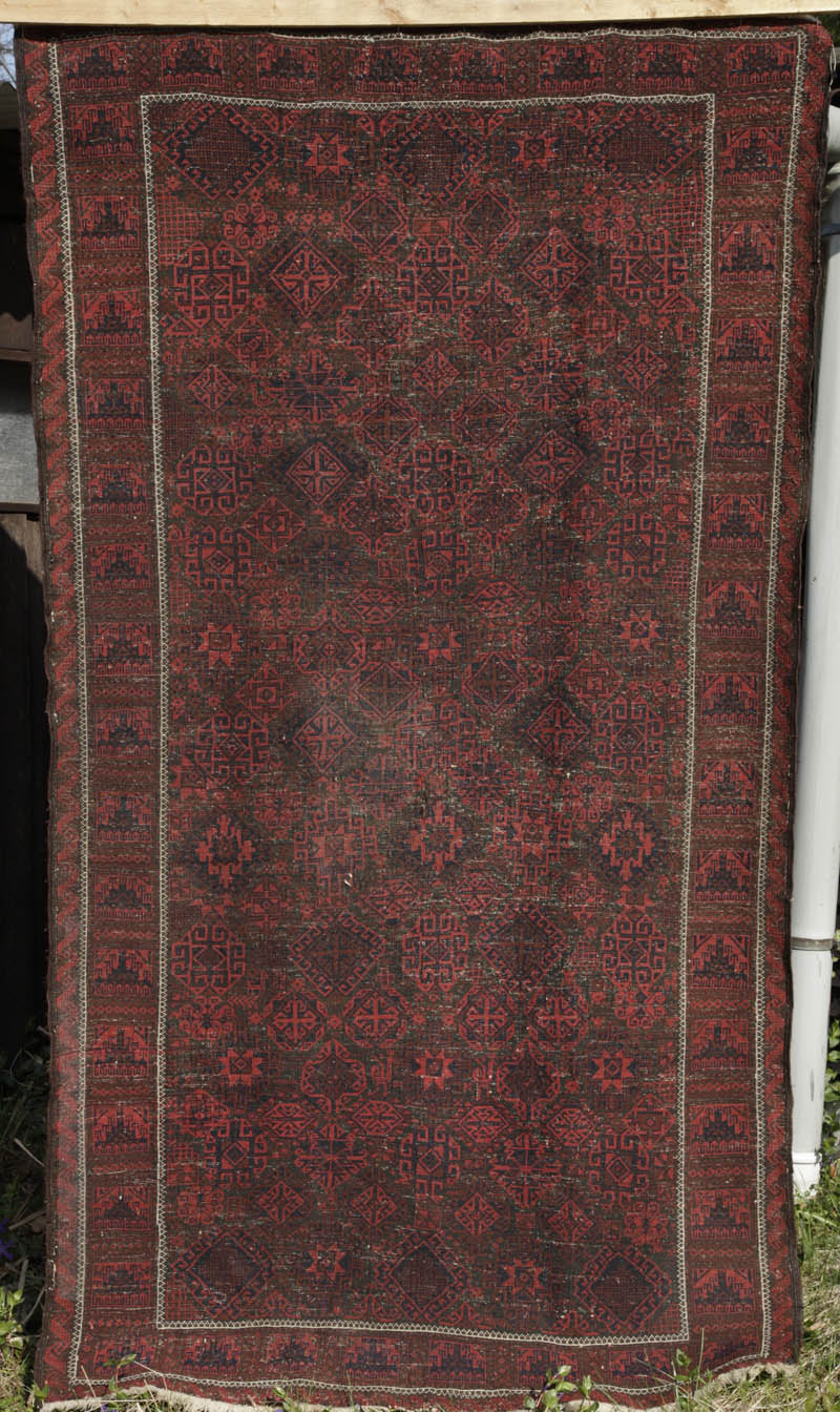 Timuri Baluch - back