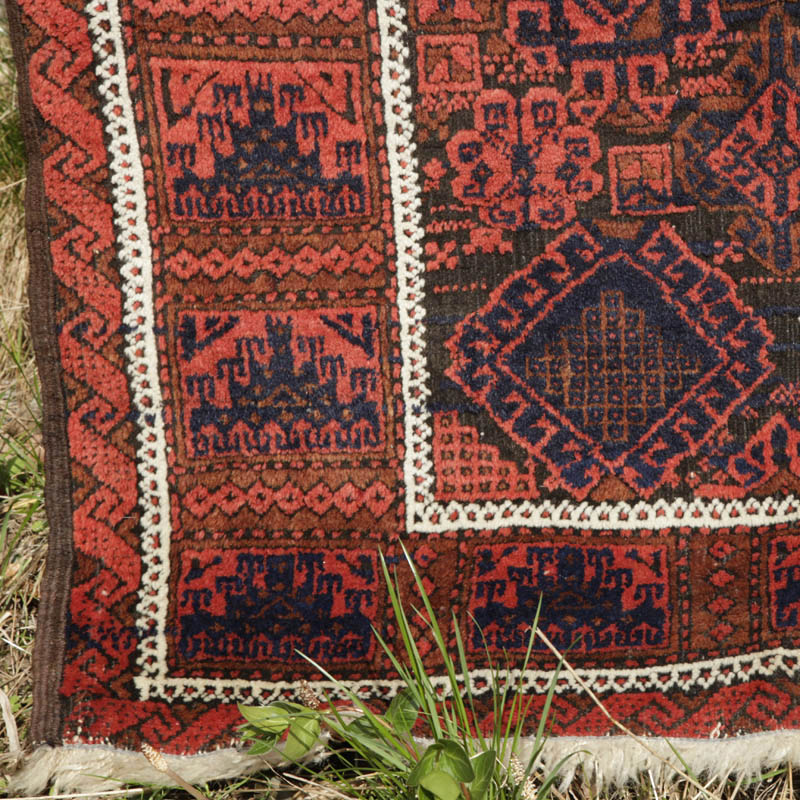 Timuri Baluch - bottom left corner