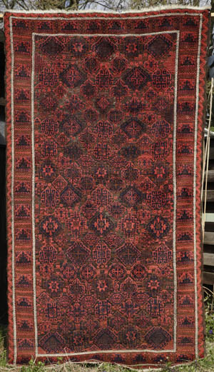 Timuri Baluch with diverse all-over design - opens jpg in same window