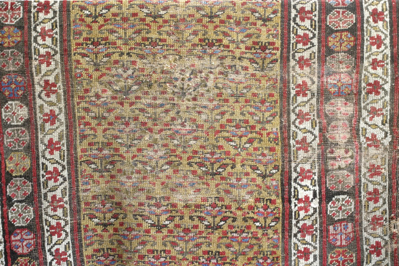 Antique Kurdish rug, end of 19th c., shrubs on yellow ground: area of heavy wear in the centre