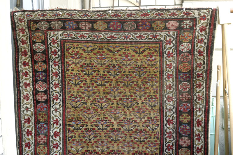 Antique Kurdish rug, end of 19th c., shrubs on yellow ground: top half